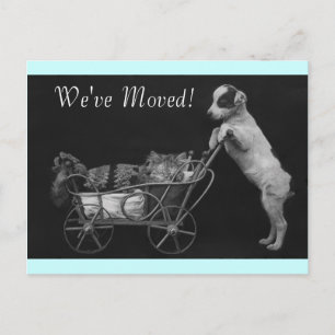 Faire-part Carte Postale Vintage Sweet Animaux Nous avons Dép