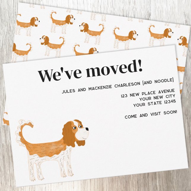 Faire-part Cavalier King Charles Spaniel Dog Moving New Home (Cavalier King Charles Spaniel Dog Blenheim moving announcement new home change of address card)