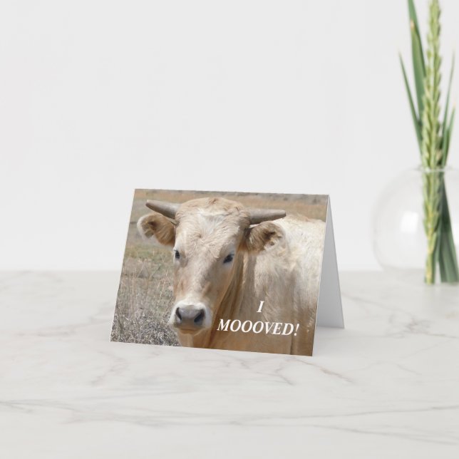 Faire-part Charolais White Cow - Western Changement d'adresse (Devant)