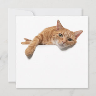 Faire-part Chat Orange Posé En Bas