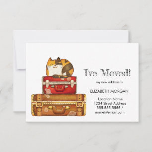 Faire-part Chat sur les valises que j'ai déplacées