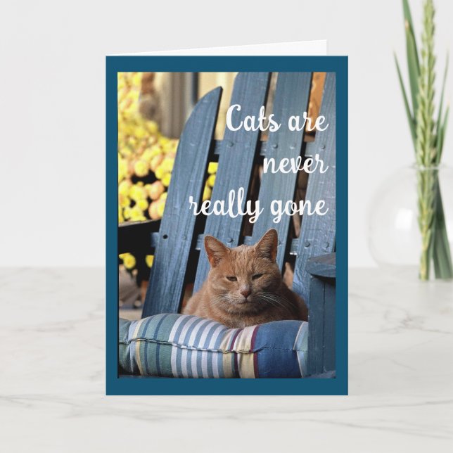Faire-part Chat Tabby orange sur chaise bleue Sympathie (Devant)