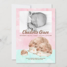 Faire-part Cute Hedgehog Famille Nouveau bébé Photo personnal
