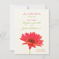 Faire-part d'annonce de gerbera marguerite pour sa