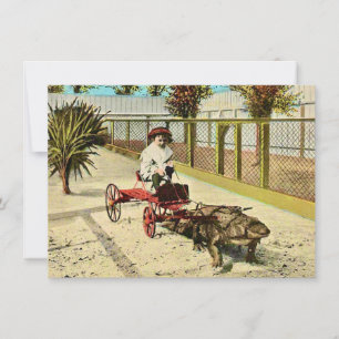 Faire-part de déplacement habile Floride Alligator