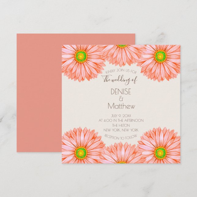 faire-part de mariage Apricot Gerbera de 5,25 po x (Devant / Derrière)