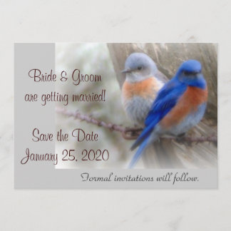 Faire-part de mariage Bluebird