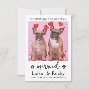Faire-part de mariage de chien