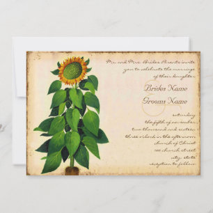 Faire-part de mariage de tournesol lunaire ivoire