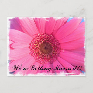 Faire-part de mariage rose Gerber Daisy