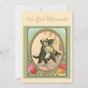 Faire-part de mariage sur le thème du chat ivoire 