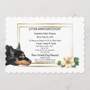 Faire-part de naissance australien Kelpie Puppies
