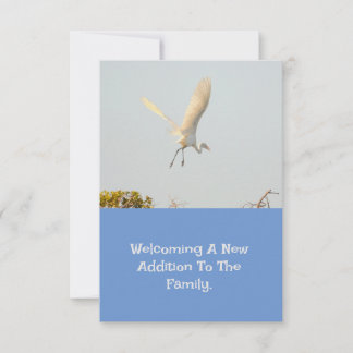 Faire-part de naissance Avec Flying Stork.