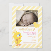 Faire-part de naissance de Big Bird