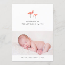 Faire-part de naissance Flamant rose