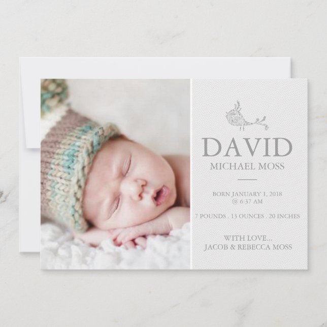 Faire-part de naissance photo | Annonceur d'oiseau (Devant)