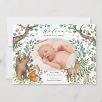 Faire-part de naissance photo des animaux de la fo