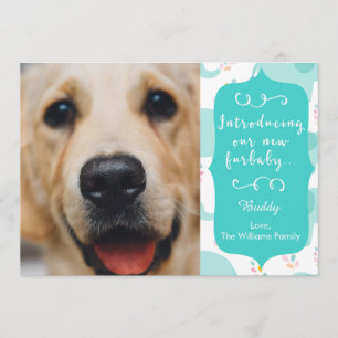 Faire-part de nouveau Furbaby bleu