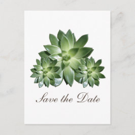 Faire-part de sauvegarde de succulente simple