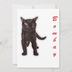 Faire-part Drôle de chat de Bombay Japon Cadeau pour papa mam