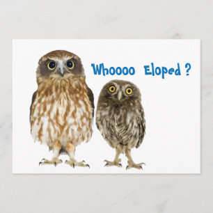 Faire-part Duo de hibou qui s'est enfui pour se marier