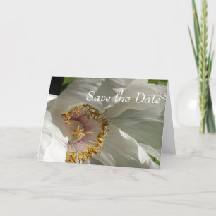 Faire-part Enregistrer la date