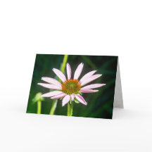 Envoi d'espoirs pour la reprise