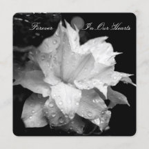 Faire-part funéraire de Clematis 2b Dewdrops