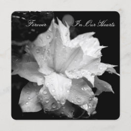 Faire-part funéraire de Clematis 2b Dewdrops