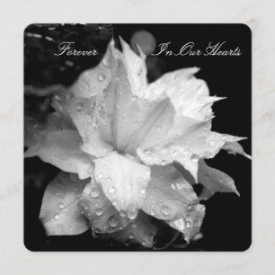 Faire-part funéraire de Clematis 2b Dewdrops