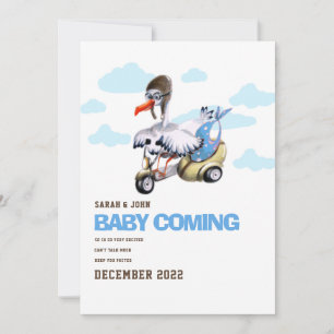 Faire-part Funny Bird Simple Cute Modern Boy Pregnancy