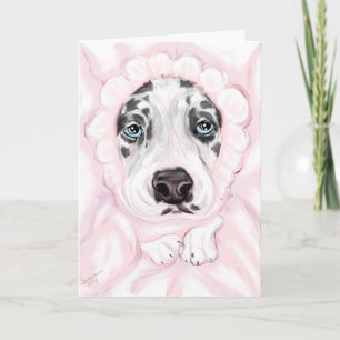 Faire-part Grand Dane Baby Harlequin Girl Annonces