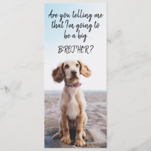 Faire-part Grossesse d'animal de compagnie Big Brother/Sister