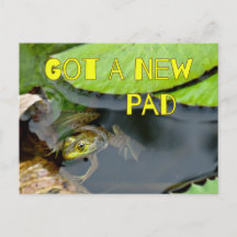 Jolie grenouille nouvelle maison Carte postale de 
