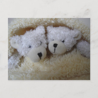 faire-part jumeaux pour bébés - ours dans une couv