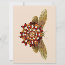 Mandala de vol à lanterne et papillon