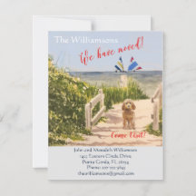 Nous avons déplacé Chien Ocean Beach Move