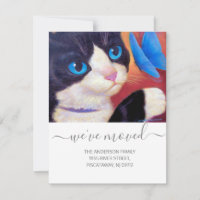 Nous avons déplacé Tuxedo Cat Pet Nouveau Script d