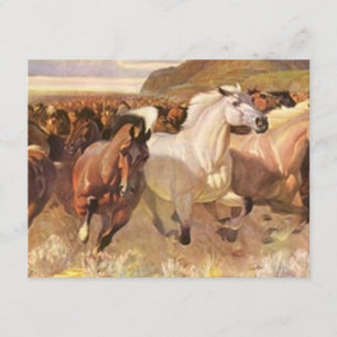 Faire-part Nous avons Moving Moved Horses Mustangs on Move