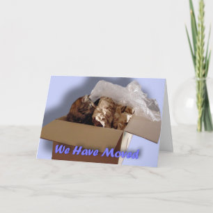 Faire-part Nous nous sommes déplacés. Replacer. Nouvelle