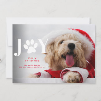 Faire-part Nouveau Chien Chien Chien Joie Paw Noël
