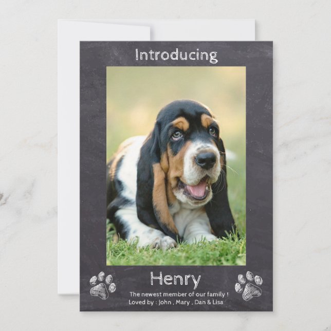 Faire-part Nouveau Chiot - Présentation de Chien Chien Chien  (Devant)