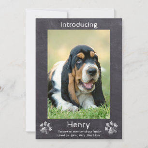 Faire-part Nouveau Chiot - Présentation de Chien Chien Chien 