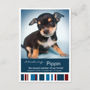 Faire-part Nouveau Pet Homme Bleu Stripes pour Garçon Faire-p