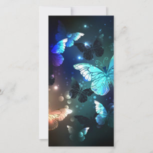 Faire-part Papillon de nuit