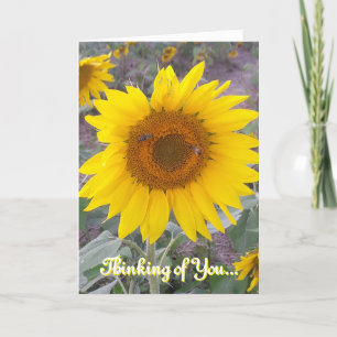 Faire-part Pensez à vous Christian Sunflower Card