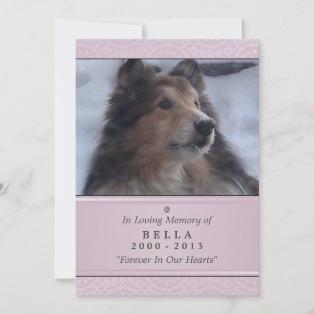 Faire-part Pet Memorial Card 5"x7" rose moderne - Femme Pet (Devant)