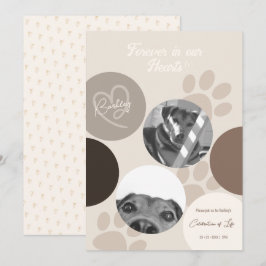 Faire-part Pet Memorial Moderne Simple Célébration de la vie