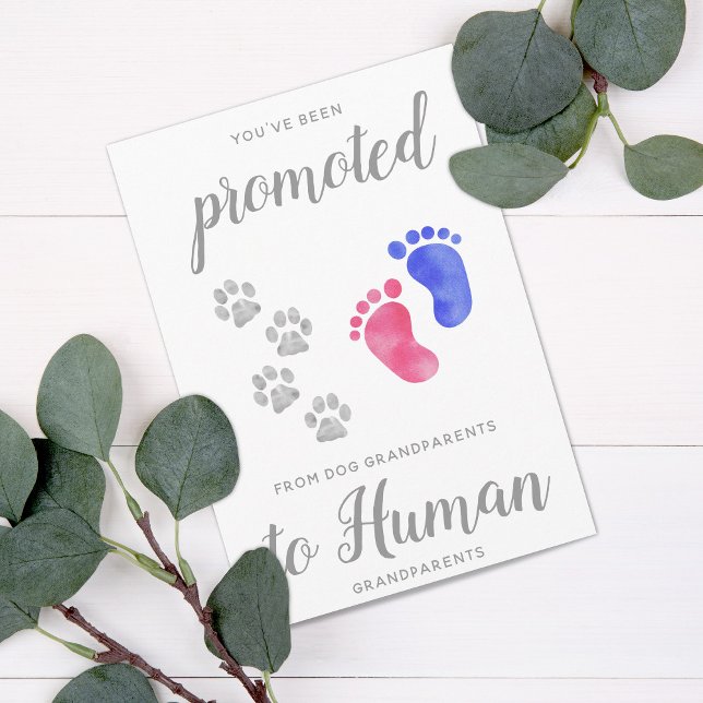 Faire-part Promu De Chien Nouveau Grand-Parents Grossesse (Créateur téléchargé)