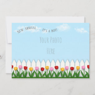 Faire-part Ressort Tulips blanc Picket clôture Photo personna